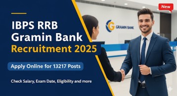 IBPS RRB Gramin Bank Recruitment 2025 Apply Online for 13217 Posts, Check Notification, Syllabus and Other Details